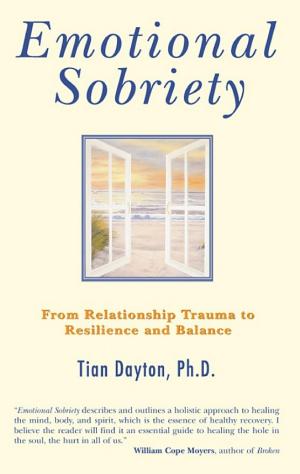 Emotional Sobriety: From Relationship Trauma to Resilience and Lasting Fulfillment